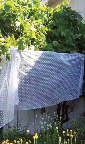 Better Bird Netting